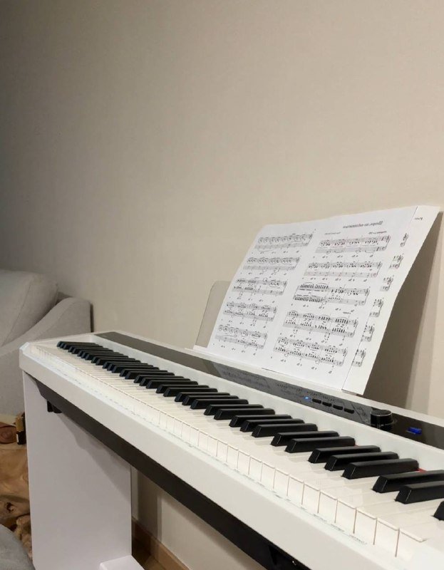 Электронное пианино Orla PF-100 2