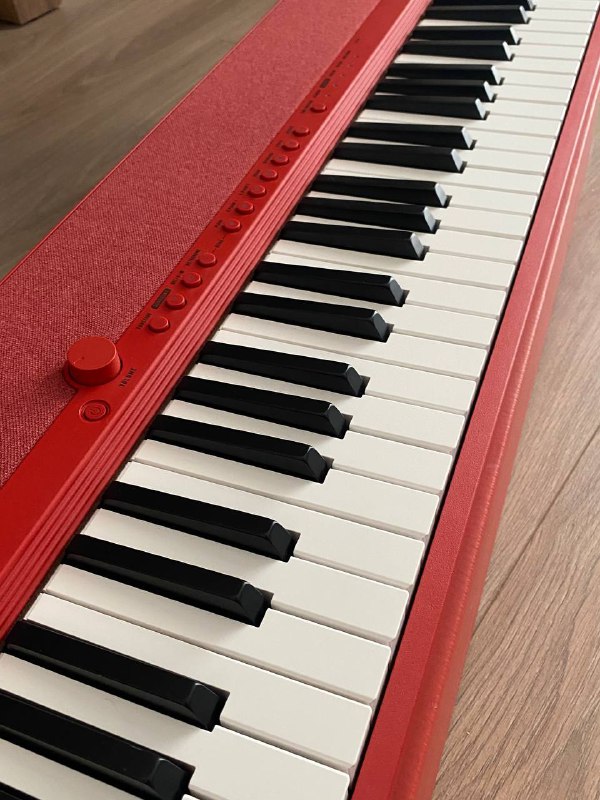 Клавиши Casio CT-S1RD 2