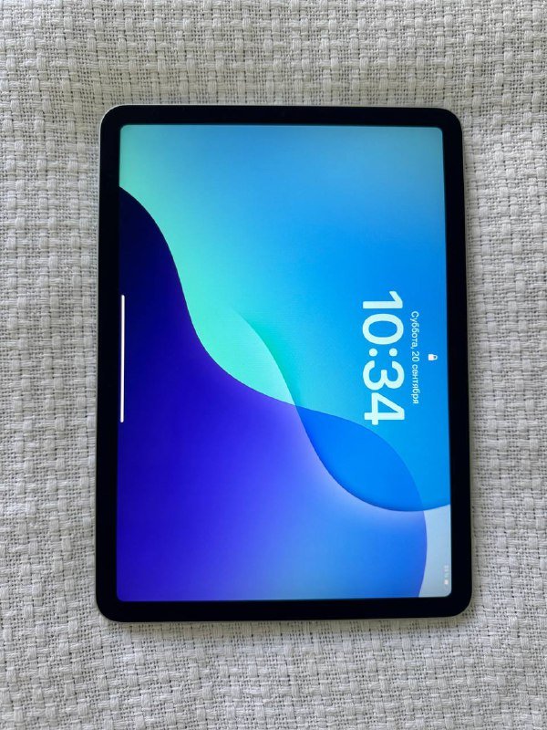 iPad Air 4 поколения 256 ГБ с чехлом