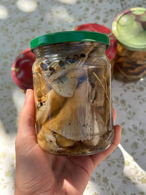 Маринованные грибы грузди, маслята в баночках 0,5 кг 2