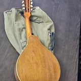 Мандолина, Черноморский Кеменче 5