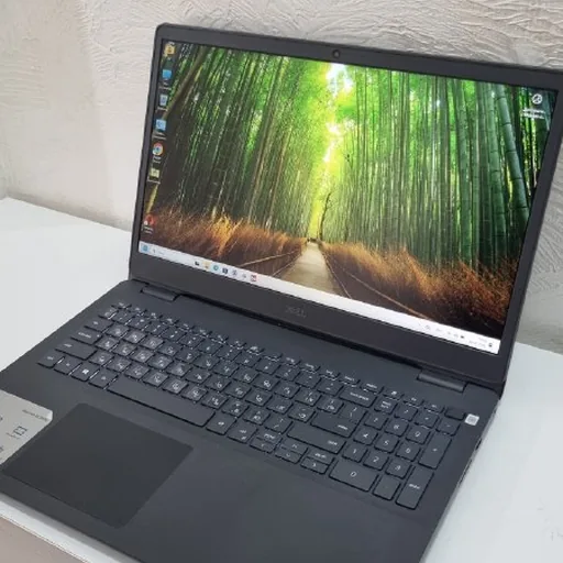Dell Inspiron 3501 ноутбук