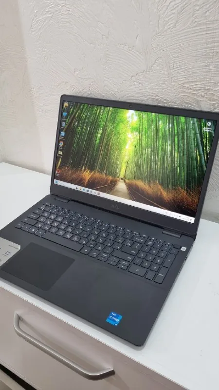 Dell Inspiron 3501 ноутбук 1