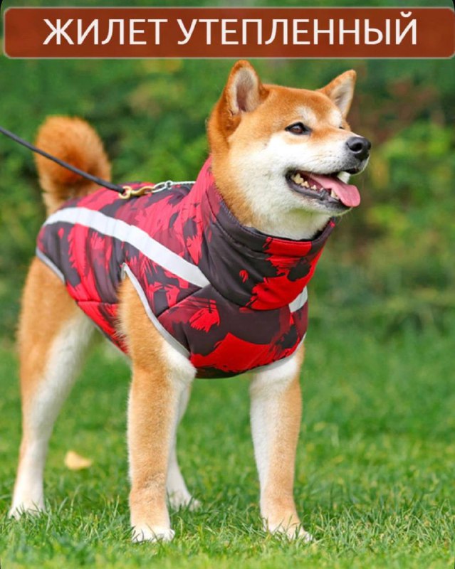 жилет и воротник для собак 4XL, новый 2