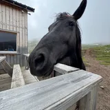 Поход к Казбеку 3