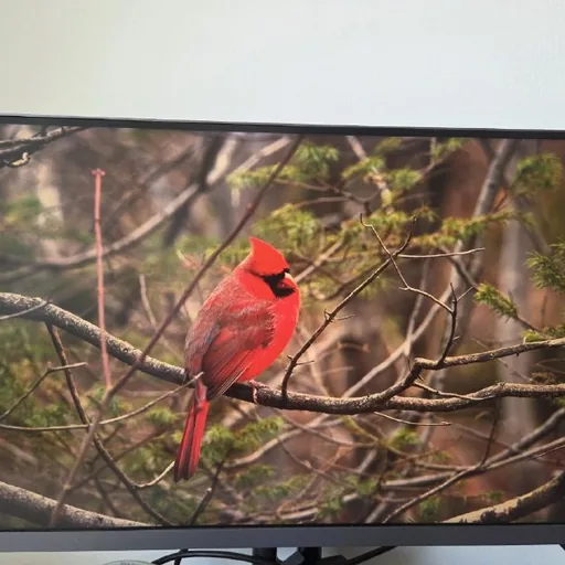 Xiaomi Mi 4K Monitor 27"