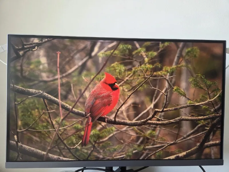 Xiaomi Mi 4K Monitor 27" 1