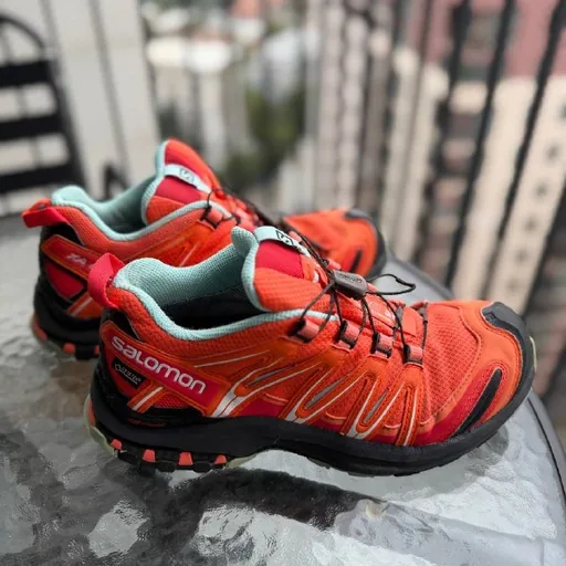 Женские ботинки Salomon XA Pro 3D GTX