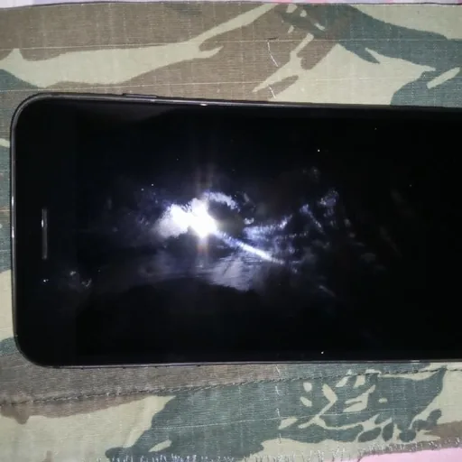 iPhone 8 Plus 256 ГБ