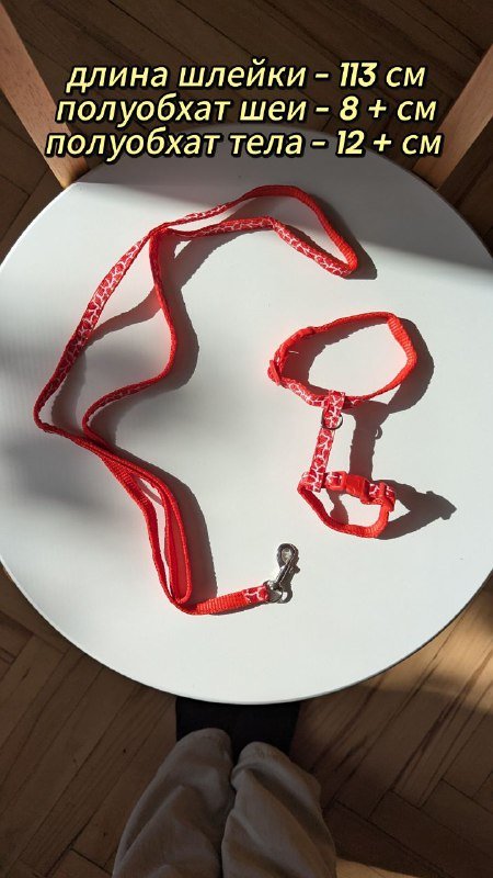 Шлейка для котенка, чесалка, воротник для котов и собак