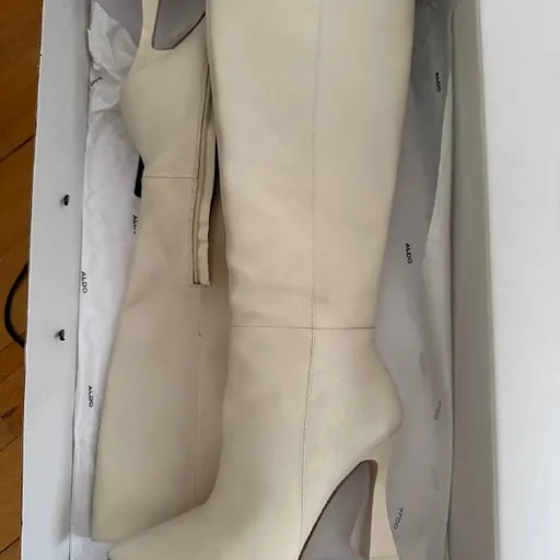Сапоги Aldo