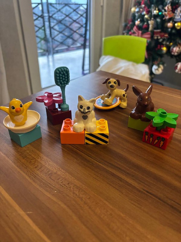 Lego Duplo sets 6