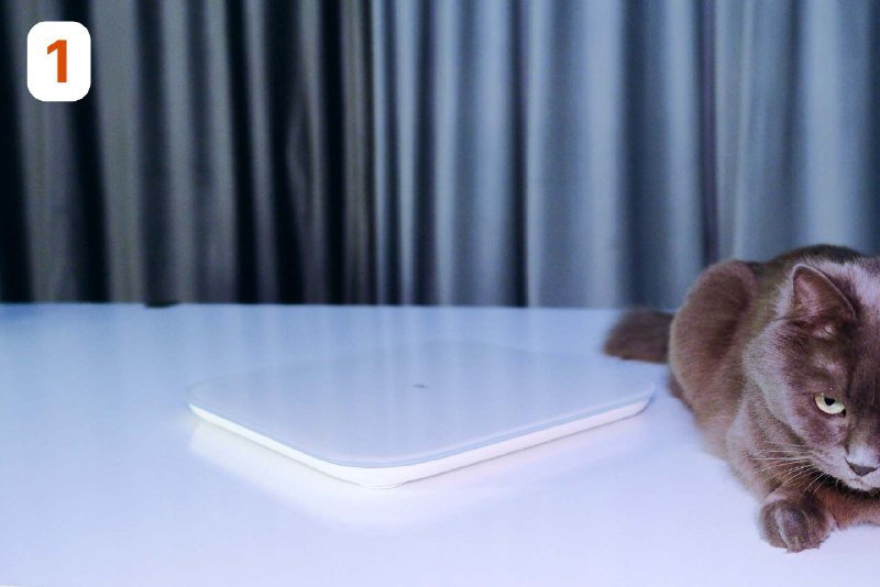 Весы Xiaomi Mi Smart Scale 2, массажёр для шеи, упоры для отжимания, степпер 2