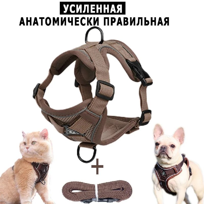 Шлейка для собак мелких и средних пород 2