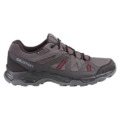 Мужские ботинки Salomon Rhossili GTX