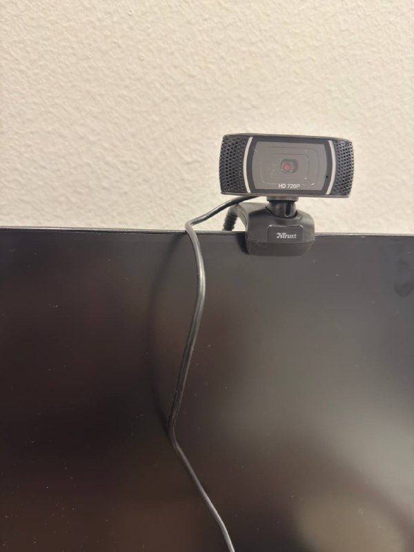 Ошейник кожаный, пальто, веб-камера, массажер для лица, сканер 6