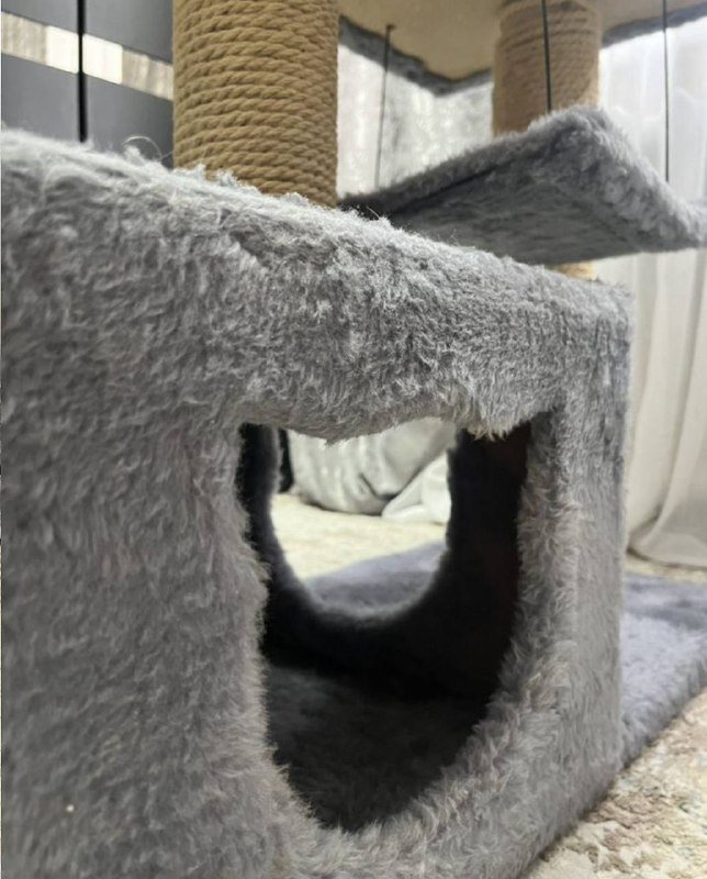 Когтеточка для кота 5