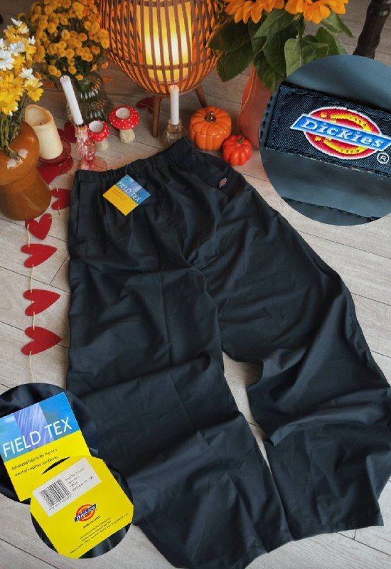 Водонепроницаемые штаны Dickies мужские XXL