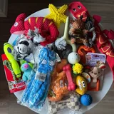 Игрушки для собак 1