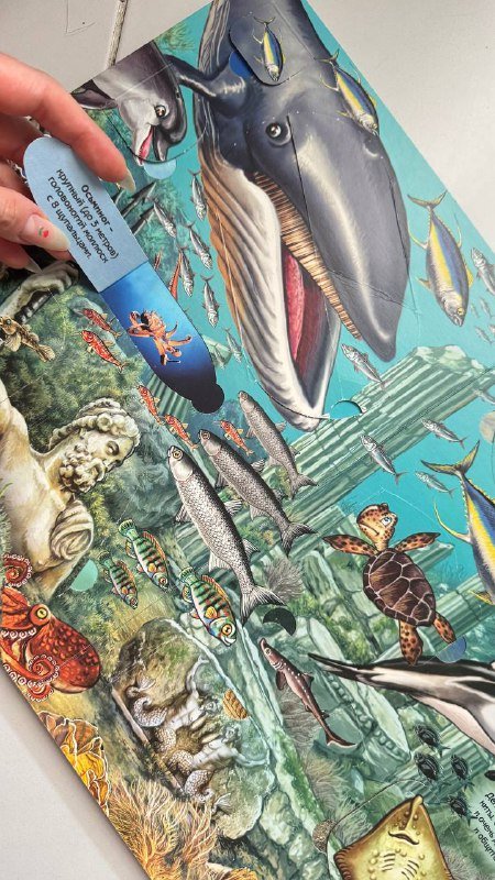 Книжки с окошками Транспорт, Что там под водой 4