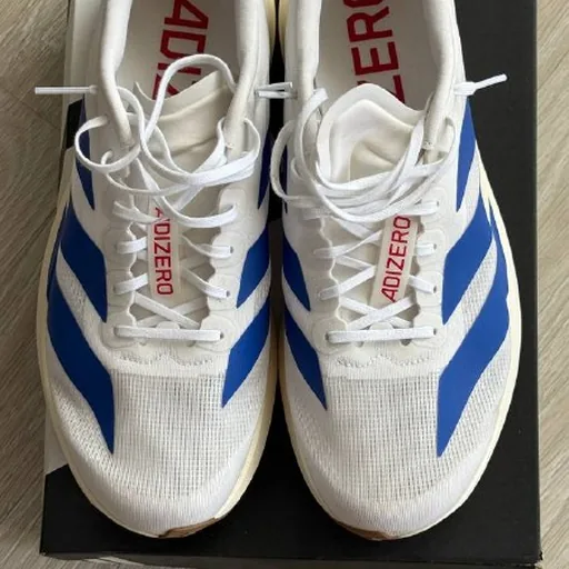 Беговые кроссовки adidas EVO SL