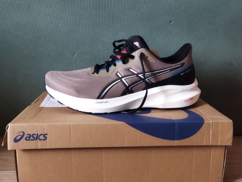 Беговые кроссовки Asics GT1000 13 размер USA11 6