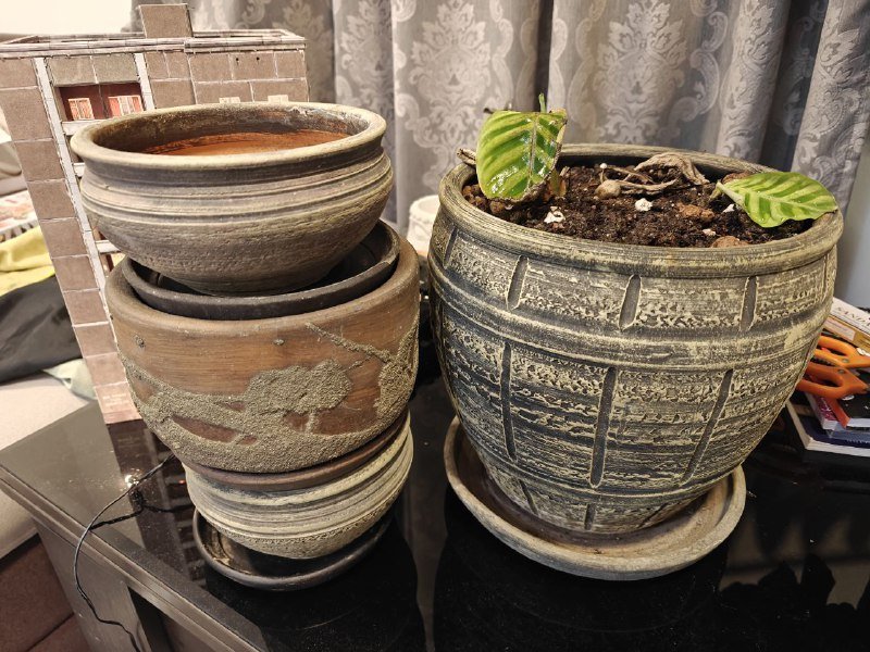 Гирлянда домино, горшки с кактусами, черная тара, графин, горшки с подставками, растение в горшке 4