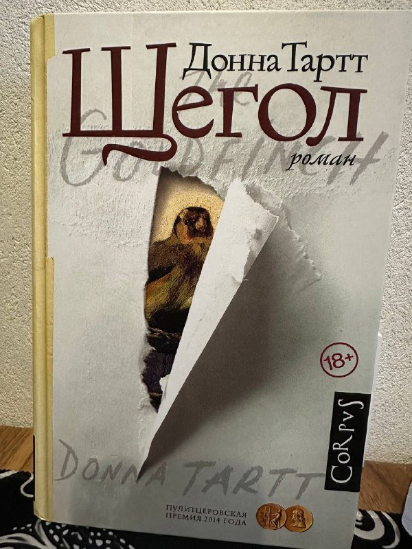 Книги: Щегол, Коллекционер, Рассказ служанки, Никогде, Sherlock Holmes