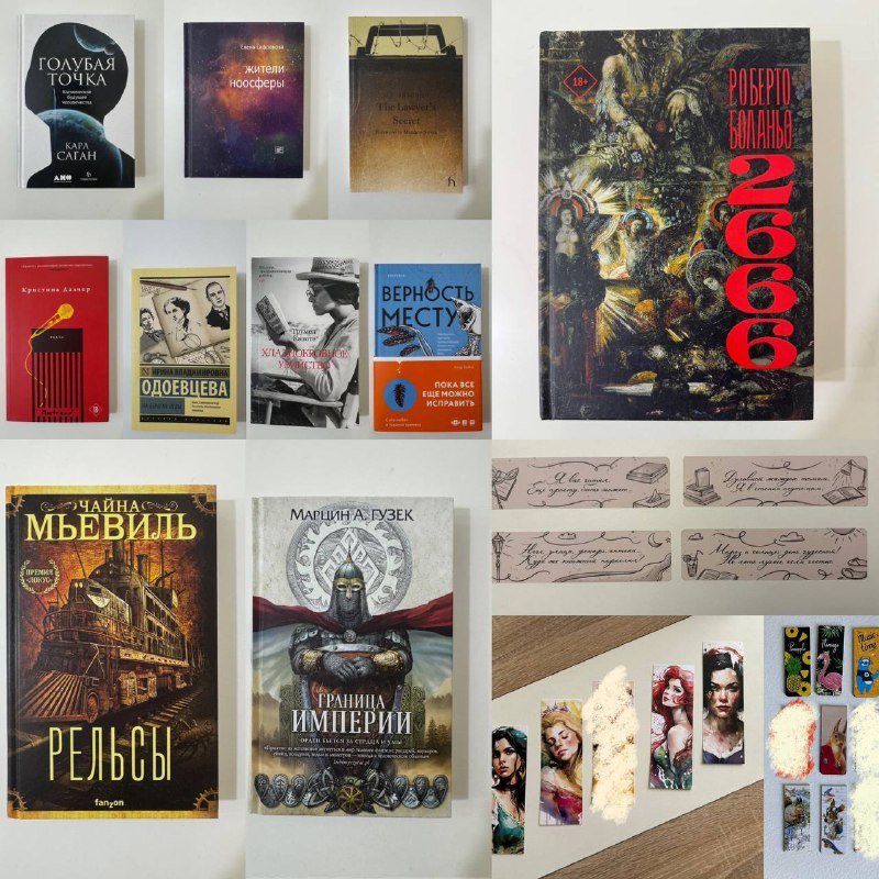 Книги: The Lawyer’s Secret, Жители ноосферы, 2666, Граница империи, Голос, Верность месту, Хладнокровное убийство, Рельсы, На берегах Невы, Голубая точка, магнитные и бумажные закладки