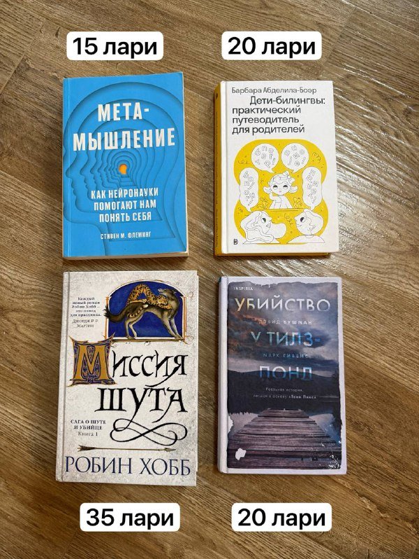 Мета-мышление, Дети-билингвы, Миссия Шута, Убийство в Тилз-Понд