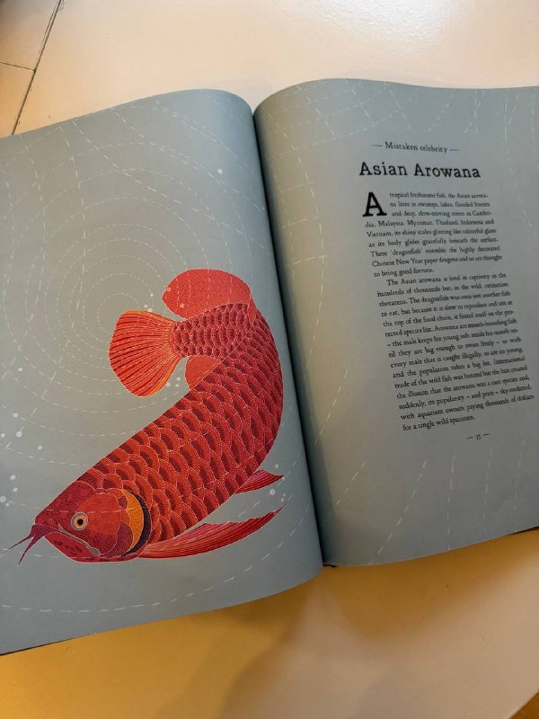 Артбук Junji Ito, Книга про животных для детей на английском 3