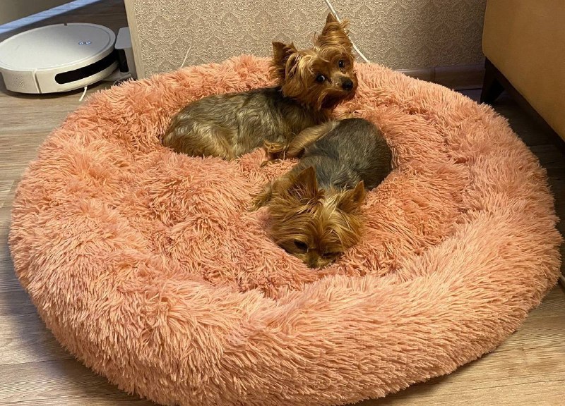 Лежанки для собак и кошек разные размеры 5