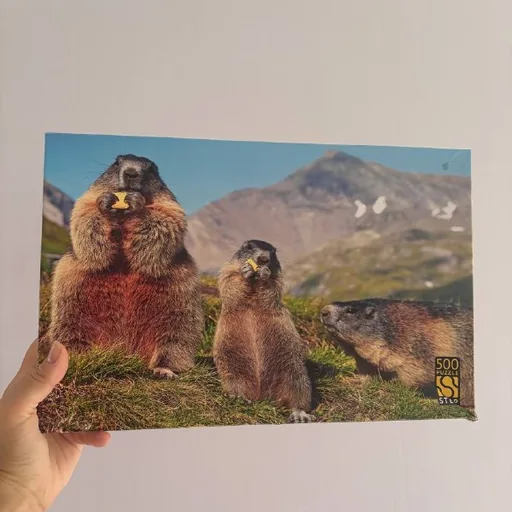 Пазл Step Puzzle с сурками, 500 деталей