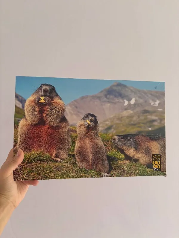 Пазл Step Puzzle с сурками, 500 деталей 1