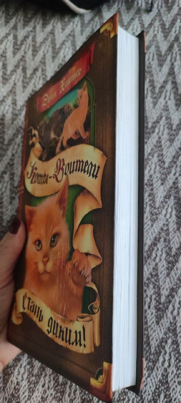 Книга Стань диким (Коты-воители) Э. Хантер 3