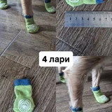 Обувь и носочки для собаки 7