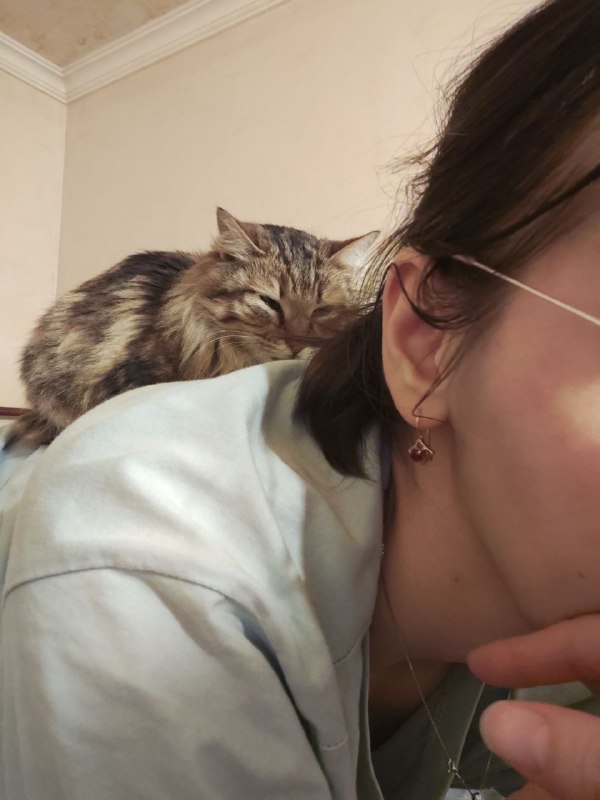 Кошечка Тамара ищет дом 2