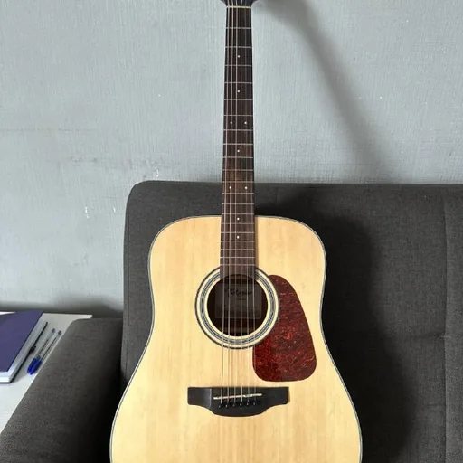 Акустическая гитара Takamine GD10 NS, чехол, каподастр, медиаторы
