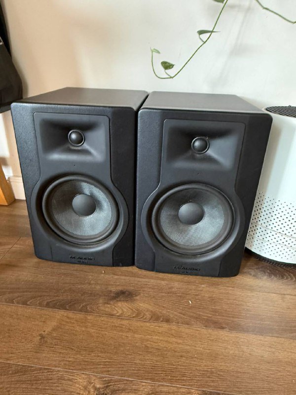 M-audio bx8 колонки