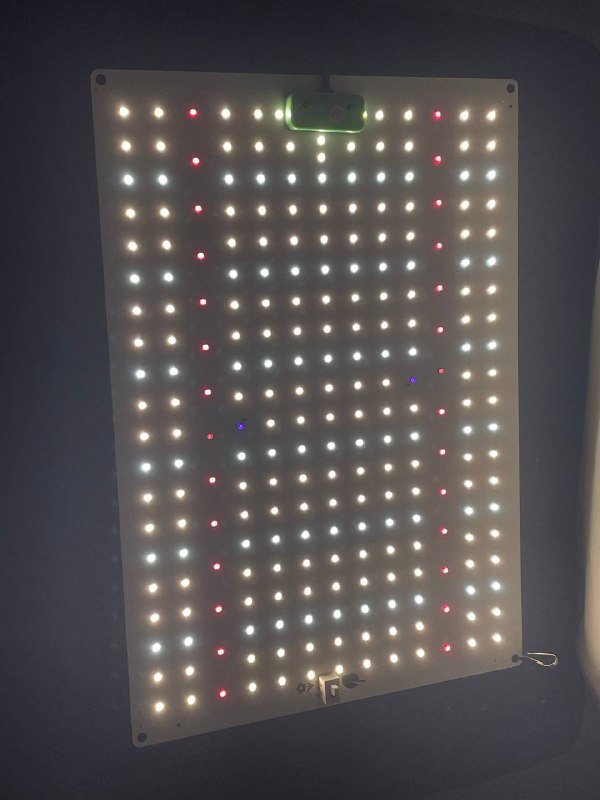 LED лампа для растений 100w, два горшка 11л 3