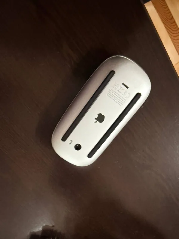 Apple Magic Mouse 1