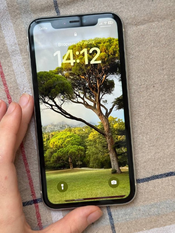 iPhone 11 128GB белый 6
