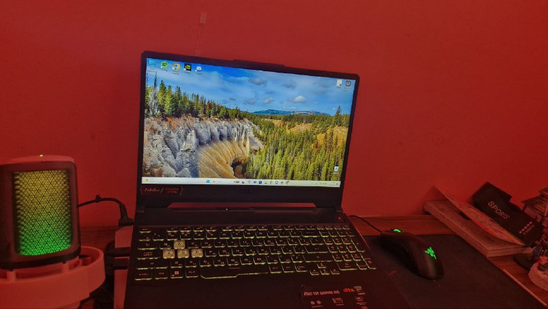 Asus TUF 15 Laptop, Razer Gaming Mouse, Havit Mouse Pad, Rayman Cooler 2