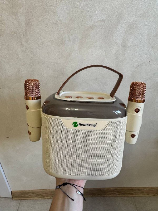 Караоке-станция NewRixing NR-8805 с 2 микрофонами