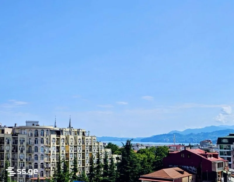 Квартира 53 м² в Батуми, 3 комнаты 1