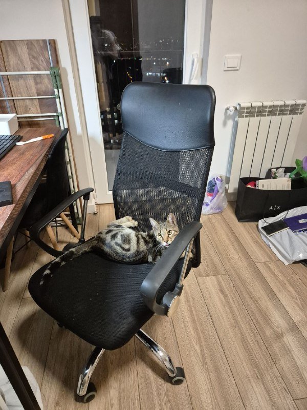 Компьютерный стул