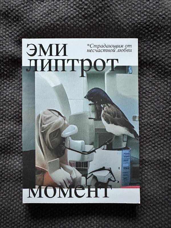 Эми Липтрот Момент