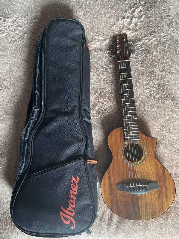 Шестиструнная piccolo гитара Ibanez ewp12ewb 6