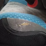 Детское автокресло RECARO Monza Nova 2 Seatfix 2