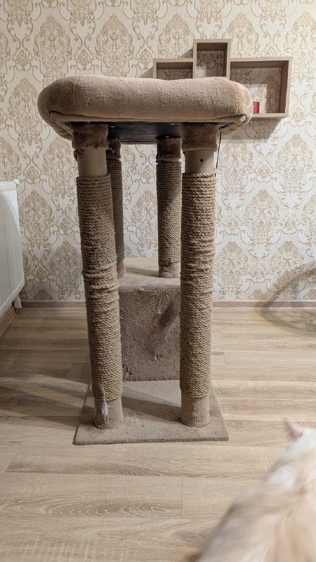 Когтеточка для кошек 2